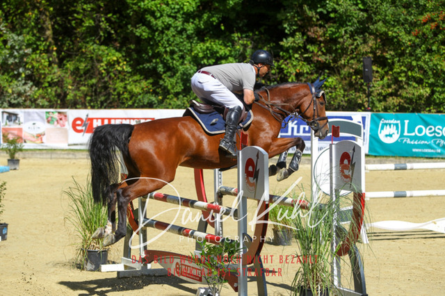 DKP43230 | Turniersportfotografie; Pferdefotografie; Dressurfotografie