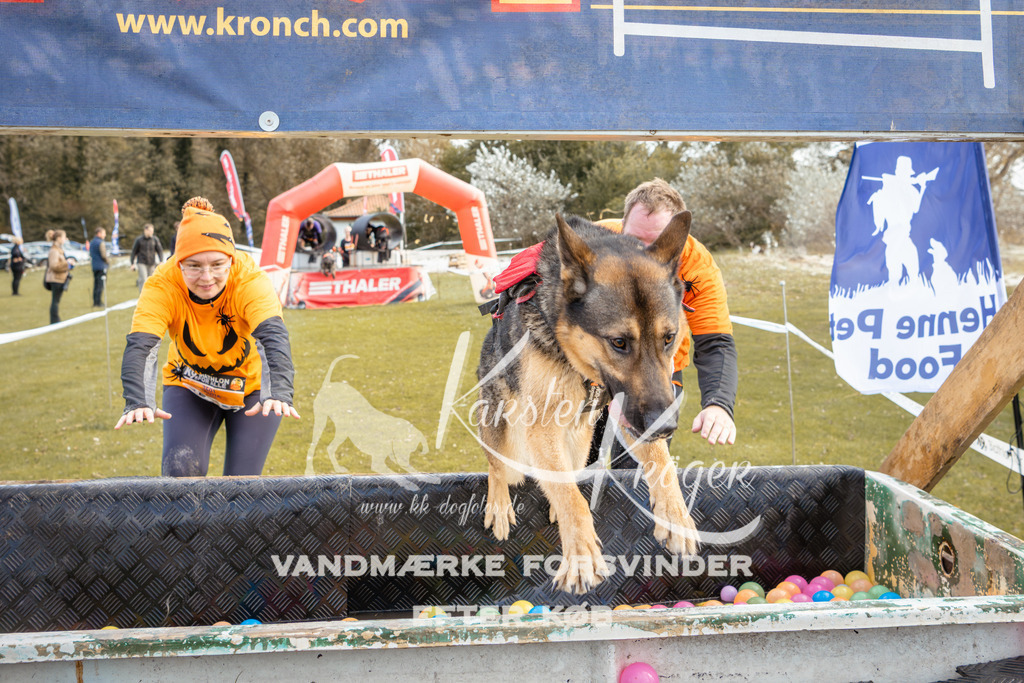 1359_ZZ93214-2 | kk-dogfotos