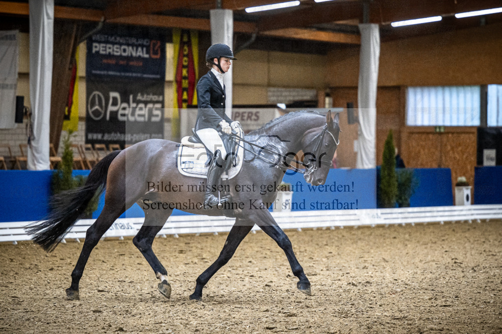 DOS_1951 | Entdecke hochwertige Reitturnierfotos von Foto Oger. Professionell, emotional und authentisch – jetzt Lieblingsmomente im Shop bestellen.Deutschlandweite Turnierfotografie. - Realisiert mit Pictrs.com