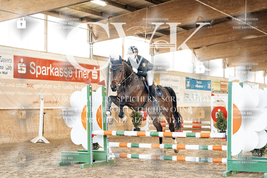 CK903827 | Turnierfotografie Pferdefotografie Trier Rheinland-Pfalz Pferdesport Reitsport Tierfotografie Sportfotografie Pferdevideo Pferdevideografie Equestrianvideography equestrianphotography  - Realisiert mit Pictrs.com