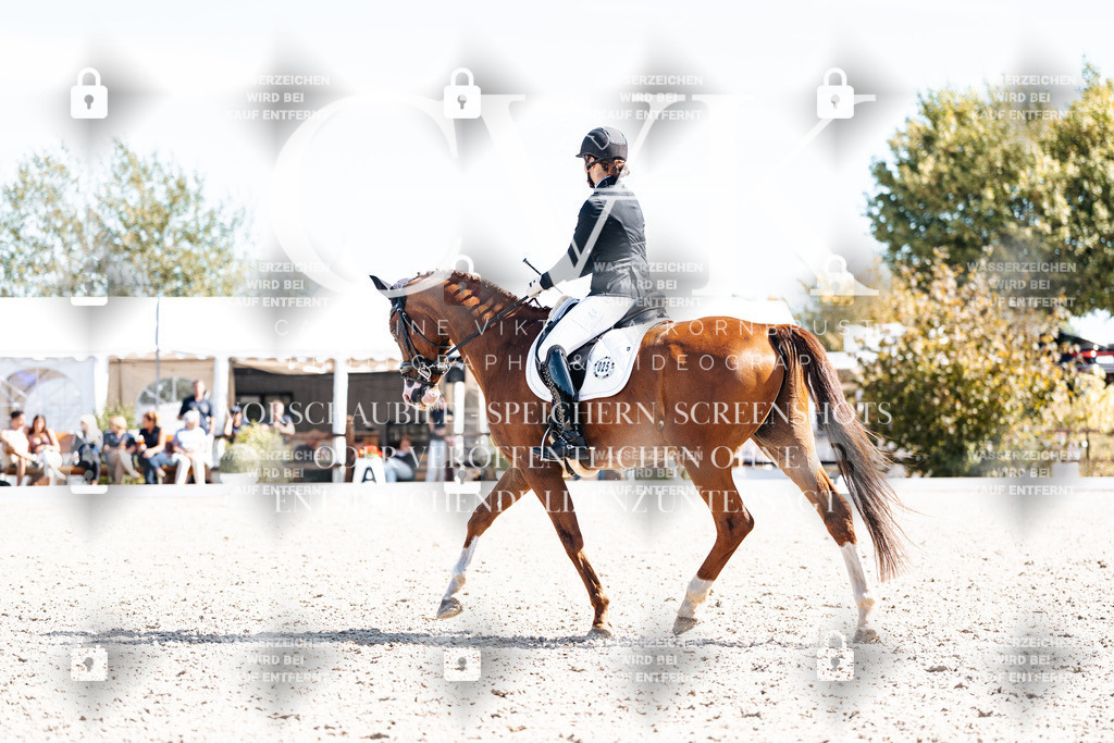 CK909569 | Turnierfotografie Pferdefotografie Trier Rheinland-Pfalz Pferdesport Reitsport Tierfotografie Sportfotografie Pferdevideo Pferdevideografie Equestrianvideography equestrianphotography  - Realisiert mit Pictrs.com