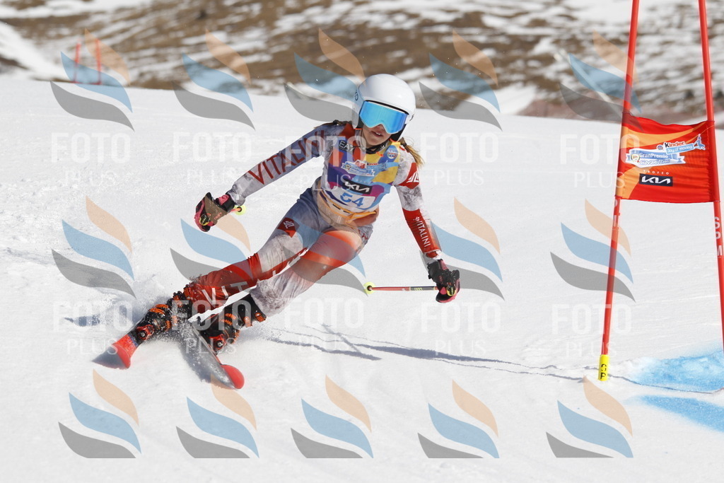 _U3G9463 | holidayphoto