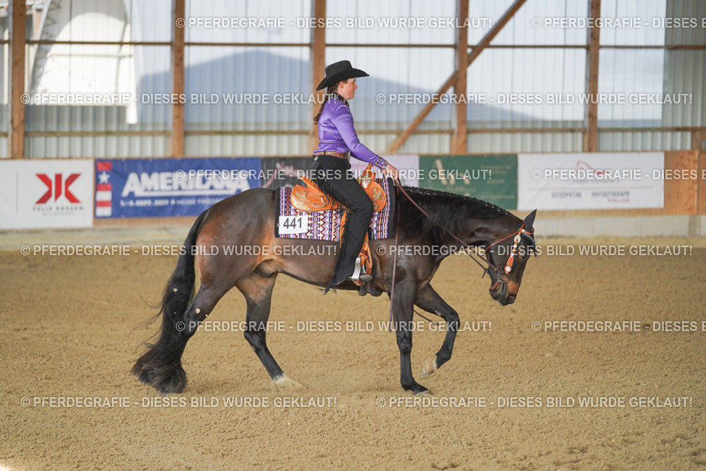 DSC09017 | Pferdegrafie