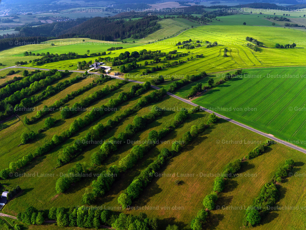3202275 | baum-feldstrukturen bei barigau