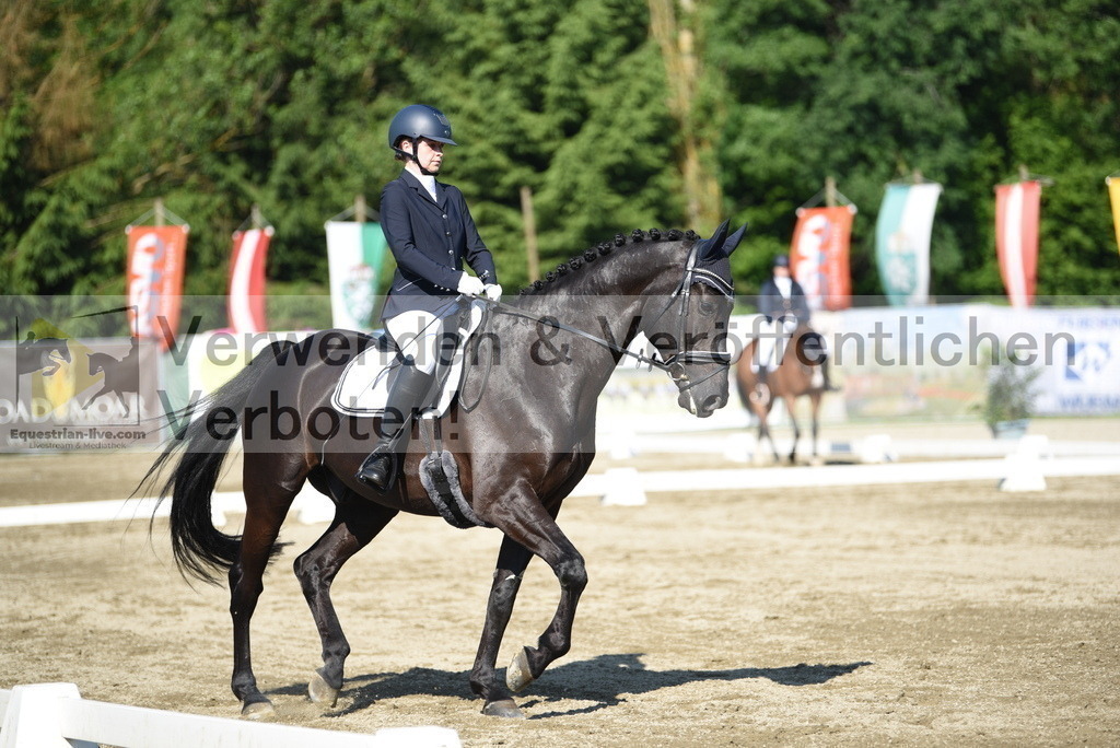 DSC_7239 | equestrian-live-com
