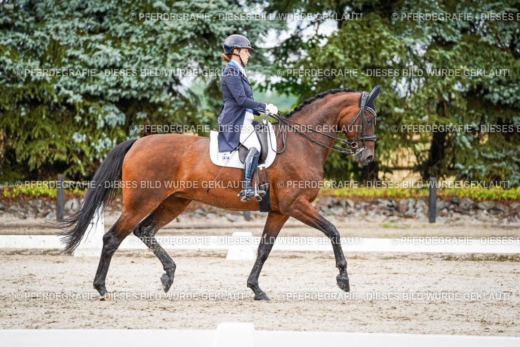 DSC00029 | Pferdegrafie