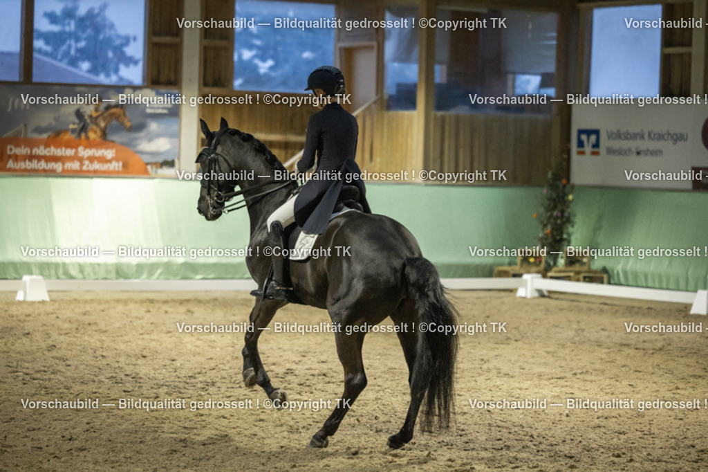 _D5A7407 | Emotionale Pferde- & People-Fotografie rund um Heidelberg, Leimen & Umgebung. Natürliche Fotos von Pferd, Mensch & Familie. Jetzt Termin sichern!