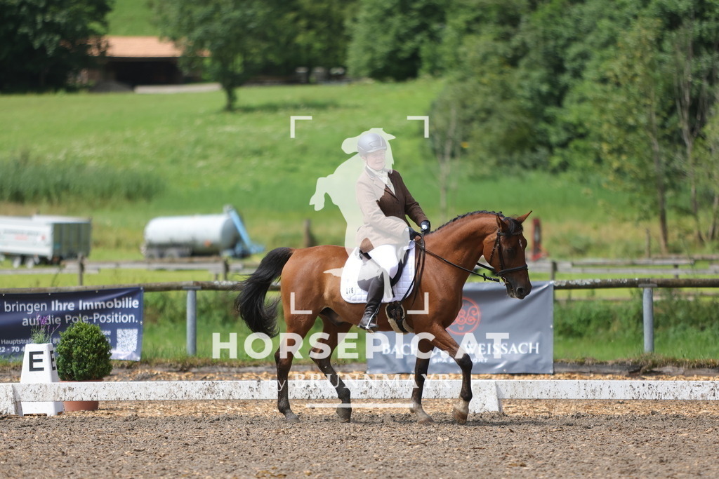 0P6A0443 | Willkommen bei Brunnmayr - Design & Fotografie – Ihrem Spezialisten für Reitturniere und Pferdeveranstaltungen in Oberösterreich, Salzburg und Bayern! Seit über 17 Jahren sind wir leidenschaftlich dabei.
