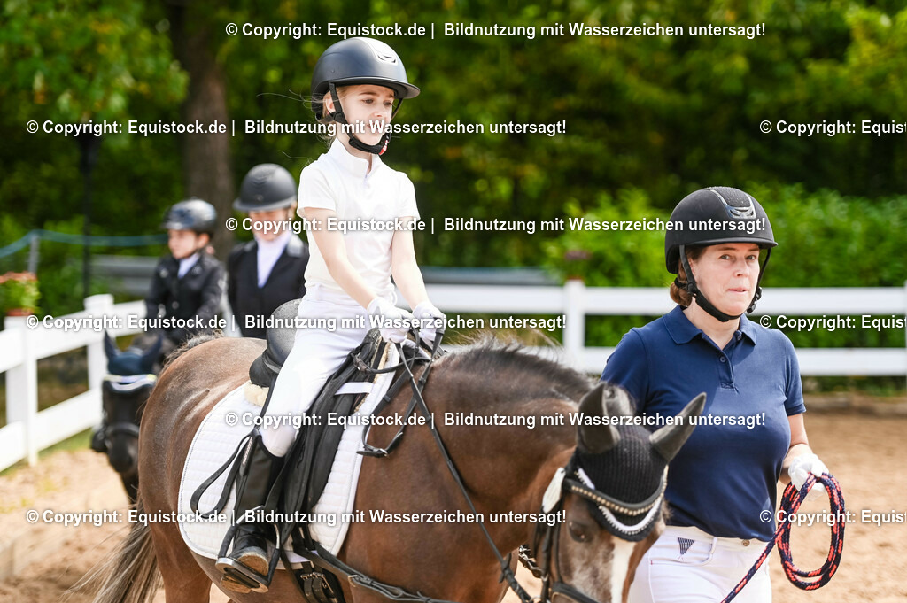 20230716_11_Führzügel-WB_0176 | equistock