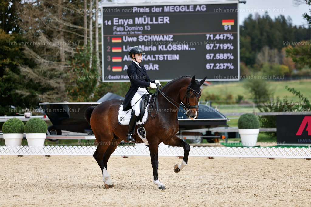 11-091-Dressur S___-StoibPH-1298 | working equitationturnier fotograf videograf stoibphotography marixx film working equitation deutschland reitsport turnierfotografie eventfotografie equestrian events