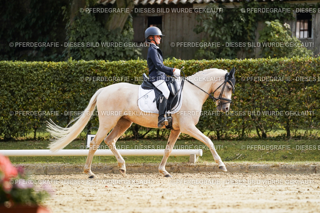 DSC05002 | Pferdegrafie