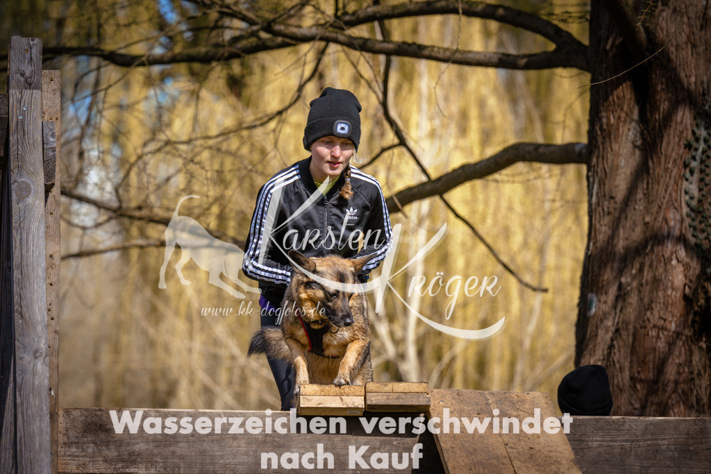 1036_ZZ97874 | kk-dogfotos