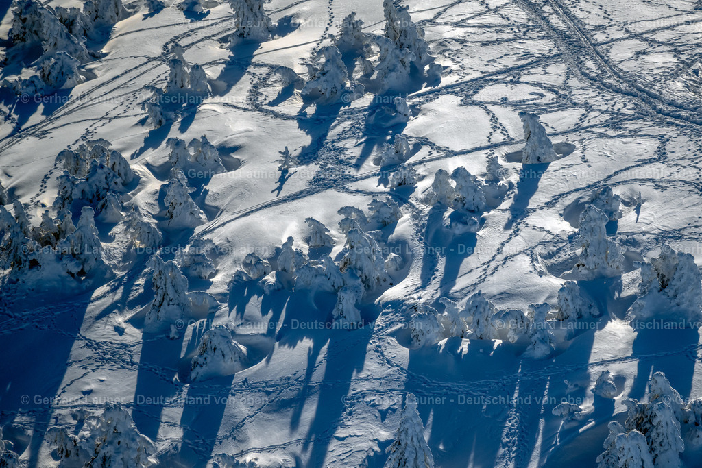 4044936 | SCHIERKE 14.02.2021 Winterlich schneebedeckte Baumspitzen in einem Waldgebiet in Schierke im Nationalpark Harz im Bundesland Sachsen-Anhalt, Deutschland. // Wintry snowy treetops in a wooded area in Schierke in the Harz in the state Saxony-Anhalt, Germany. Foto: Gerhard Launer