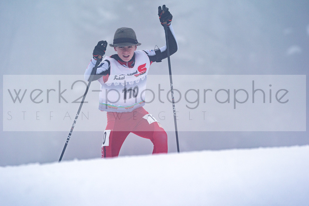 DSC Arber | Bayerischer Wald am 15. und 16. Januar 2022