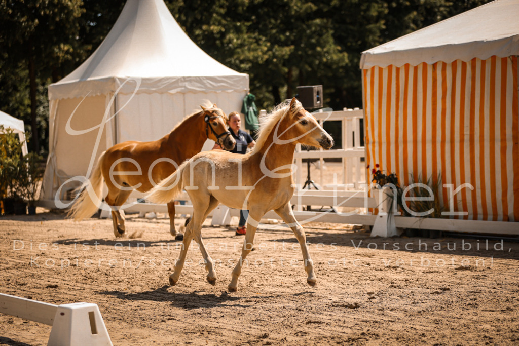 06.DoH00035 | Leoni Ertmer Photography - Realisiert mit Pictrs.com