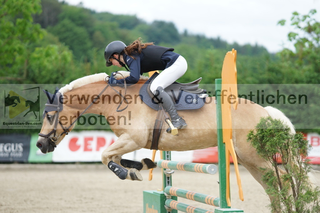 DSC07639 | equestrian-live-com