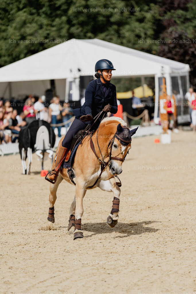 Tanesha5FHC2025-2674 | working equitationturnier fotograf videograf stoibphotography marixx film working equitation deutschland reitsport turnierfotografie eventfotografie equestrian events