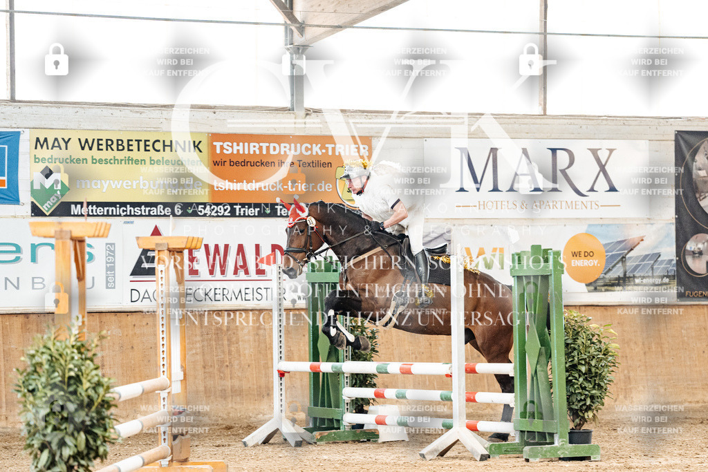 CK905503 | Turnierfotografie Pferdefotografie Trier Rheinland-Pfalz Pferdesport Reitsport Tierfotografie Sportfotografie Pferdevideo Pferdevideografie Equestrianvideography equestrianphotography  - Realized with Pictrs.com
