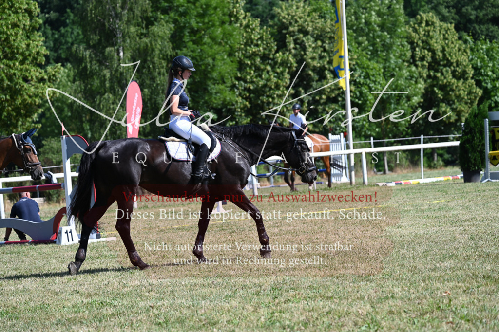 DSC_1757 | Pferde- und Turnierfotografie in Westsachsen. Pferdeportraits, Auftragszeichnungen und intuitive Kunst.