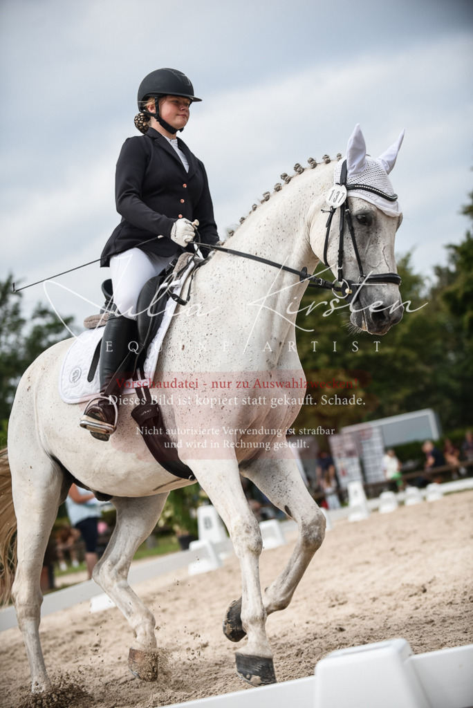 DSC_8515 | Pferde- und Turnierfotografie in Westsachsen. Pferdeportraits, Auftragszeichnungen und intuitive Kunst.