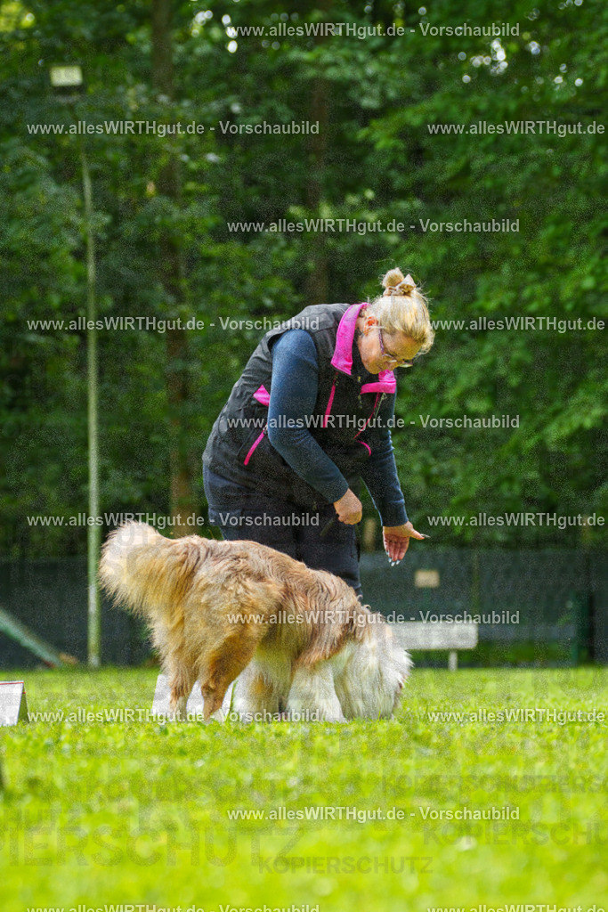 @allesWIRTHgut_Tierfotografie - www.allesWIRTHgut.de - 7R501250 | Professionelle Tierfotografie in Mönchengladbach von Daniel Wirth (allesWIRTHgut). Liebevolle & natürliche Bilder von Hunden & Katzen für unvergessliche Erinnerungen.