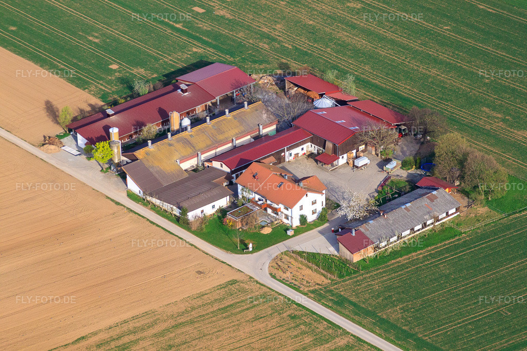 Luftbild: Hofladen Giek. Im Kornfeld in Möglingen im Bundesland Baden-Württemberg in Deutschland. Foto: IMG_39352.jpg vom 03.04.2011 durch Werner Riehm/FLY-FOTO.deGeflügelhof Giek - Familienbetrieb seit 1963