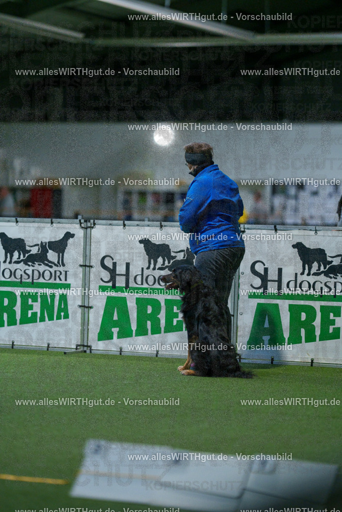 7R503957 | Professionelle Tierfotografie in Mönchengladbach von Daniel Wirth (allesWIRTHgut). Liebevolle & natürliche Bilder von Hunden & Katzen für unvergessliche Erinnerungen.