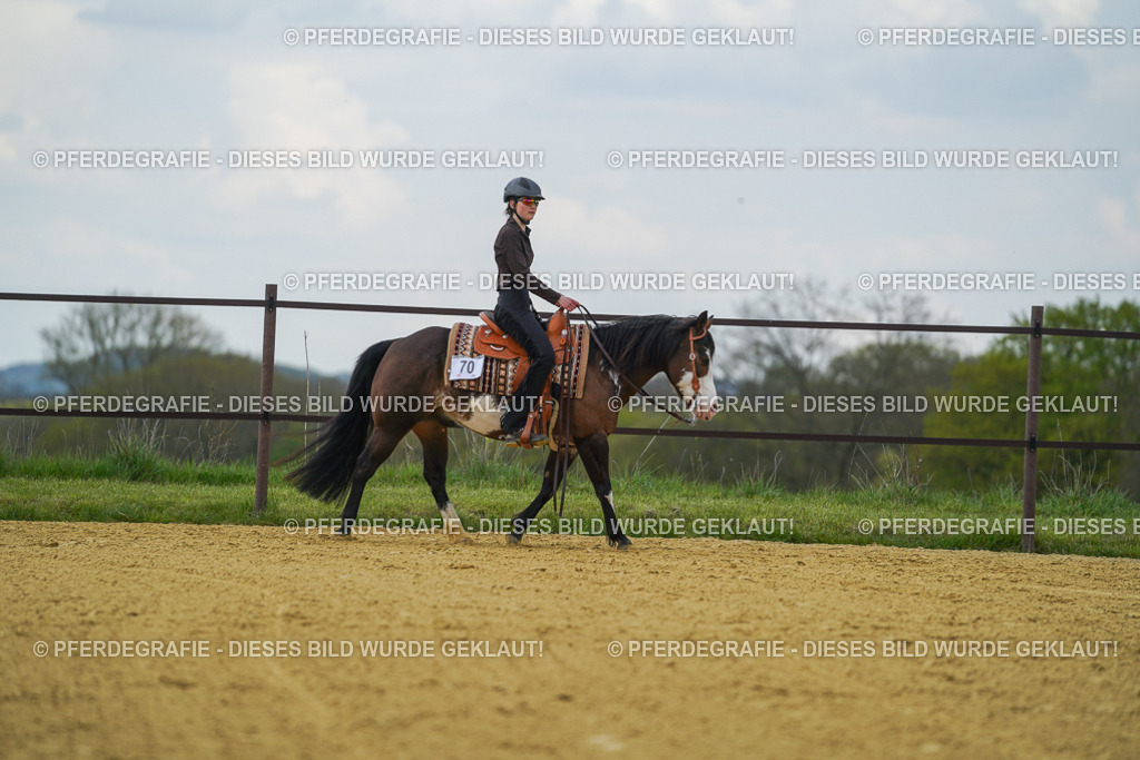 DSC06573 | Pferdegrafie