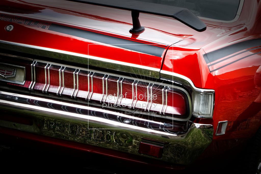 Cougar Eliminator | dex-photography - Realisiert mit Pictrs.com