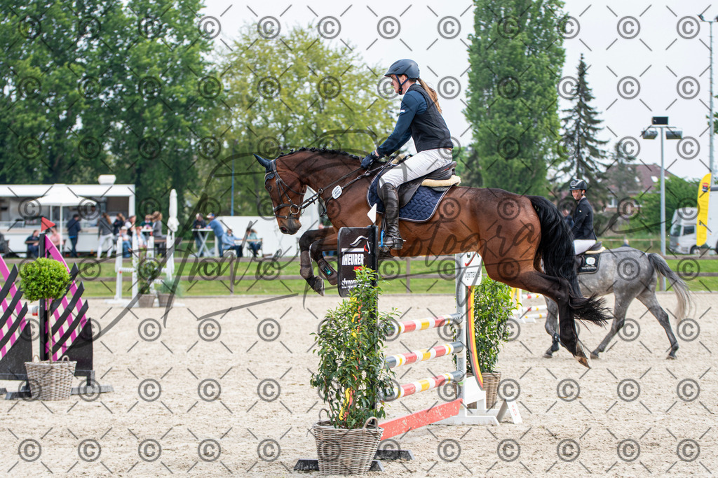 KPT_2754 | andre_photographic