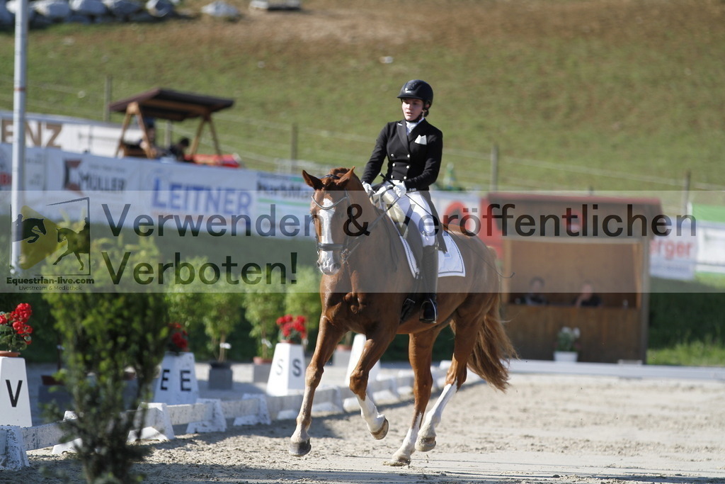 _MG_3178 | equestrian-live-com