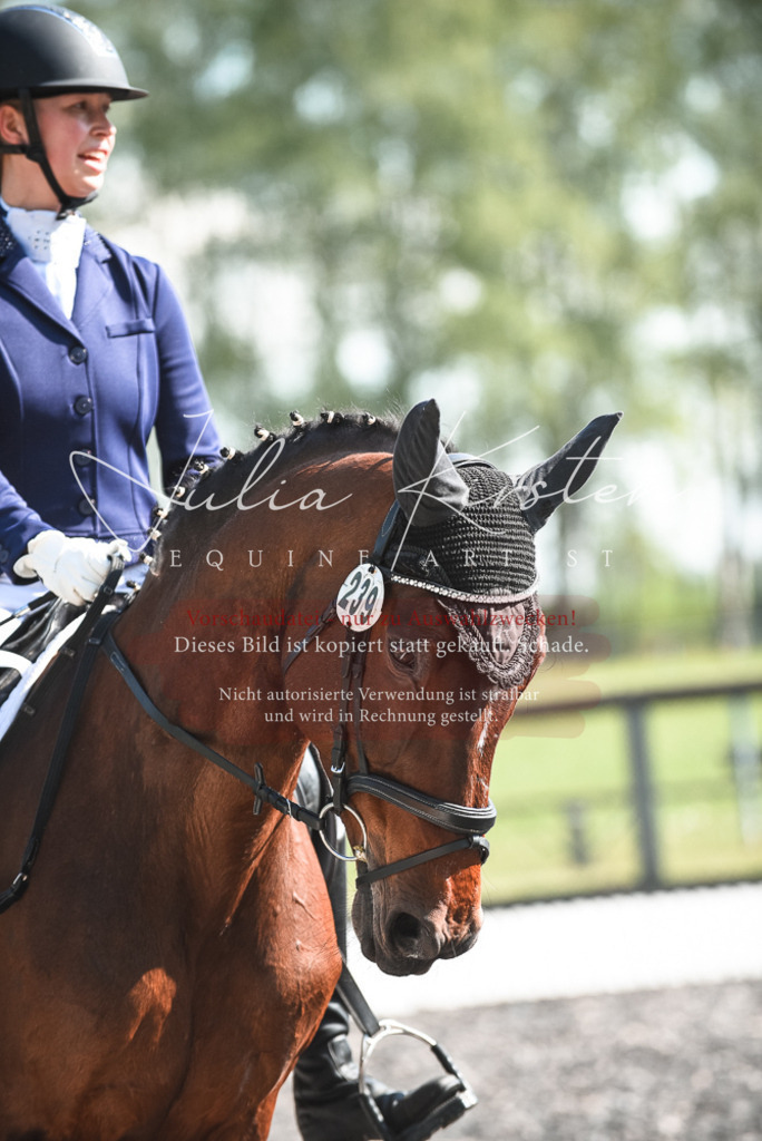 DSC_8766 | Pferde- und Turnierfotografie in Westsachsen. Pferdeportraits, Auftragszeichnungen und intuitive Kunst.