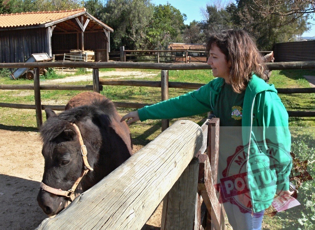 Woman petting pony on a farm behind fence | Woman tenderly petting a pony at a farm, sharing a moment of animal connection outdoors - Realized with Pictrs.com