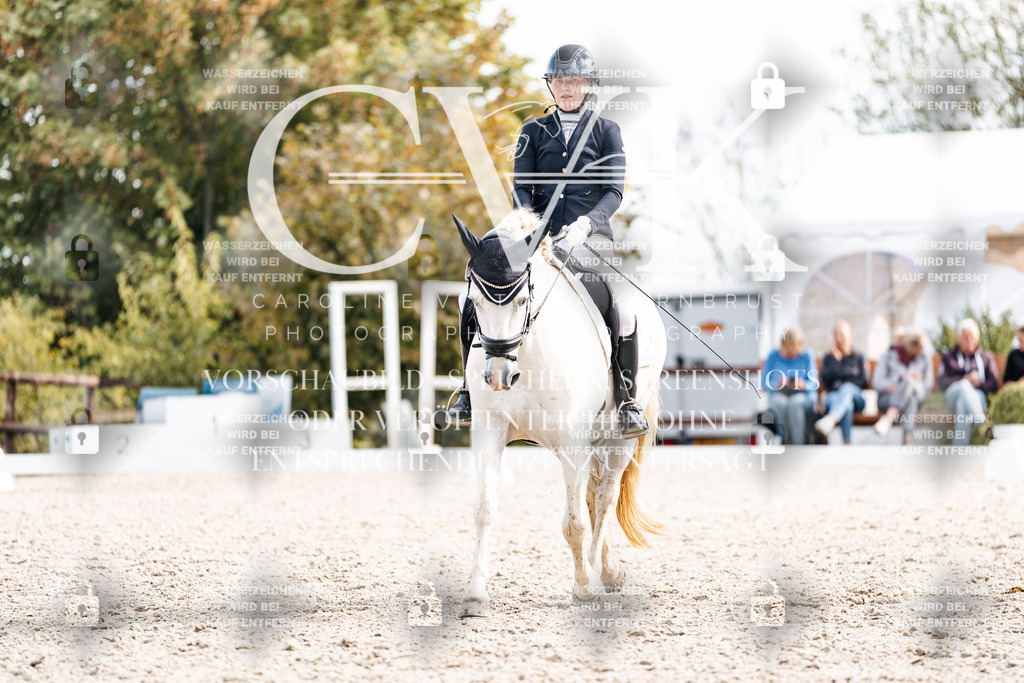 CK901587 | Turnierfotografie Pferdefotografie Trier Rheinland-Pfalz Pferdesport Reitsport Tierfotografie Sportfotografie Pferdevideo Pferdevideografie Equestrianvideography equestrianphotography  - Realisiert mit Pictrs.com