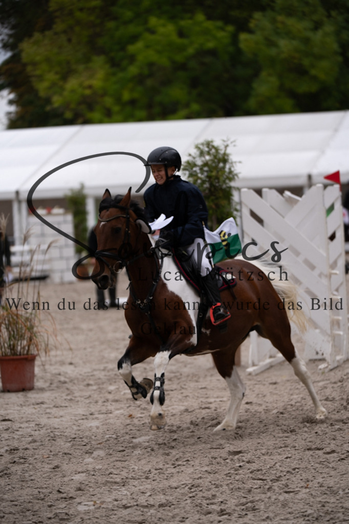 A7V09626 | Pferdefotograf