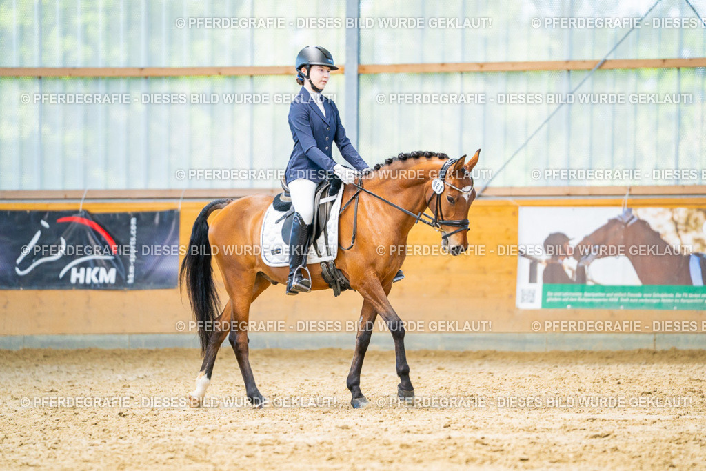 DSC07913 | Pferdegrafie