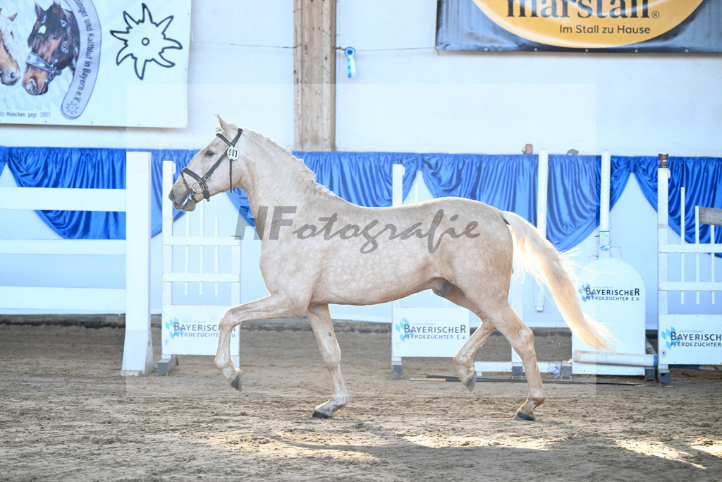 Kat-Nr. 3 Teneree Terrapaz v. Miura de Cais_Landfried_9260080 | hf-fotografie - Realisiert mit Pictrs.com