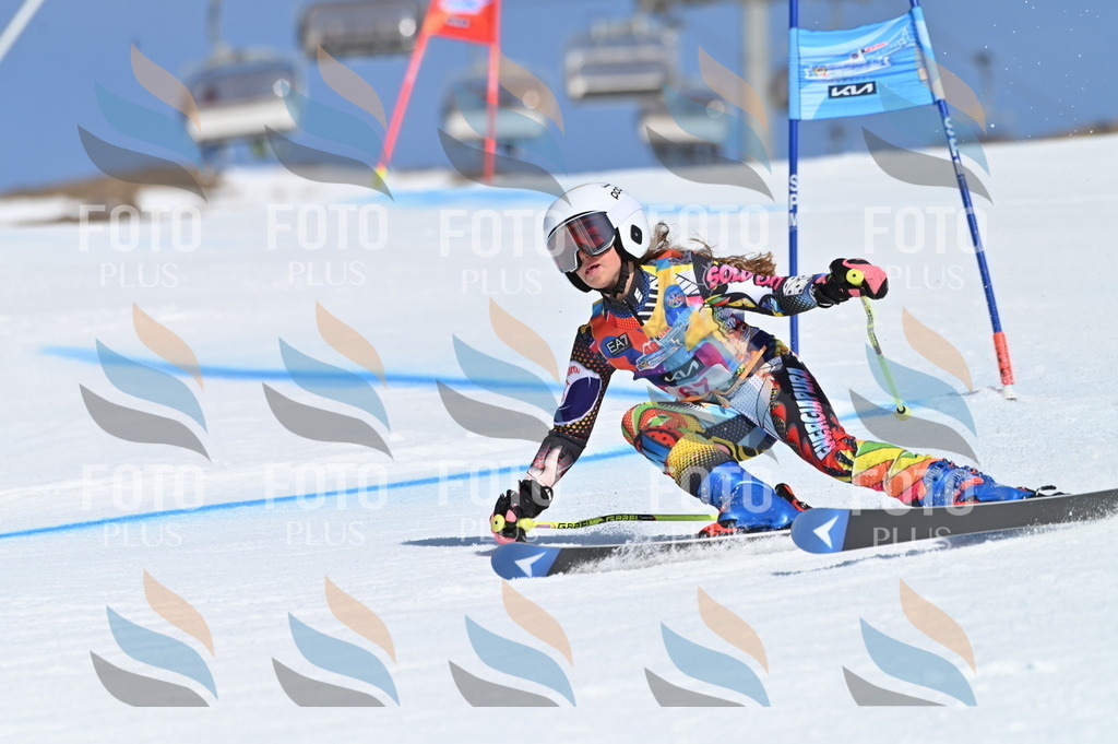 BGV_8853 | holidayphoto