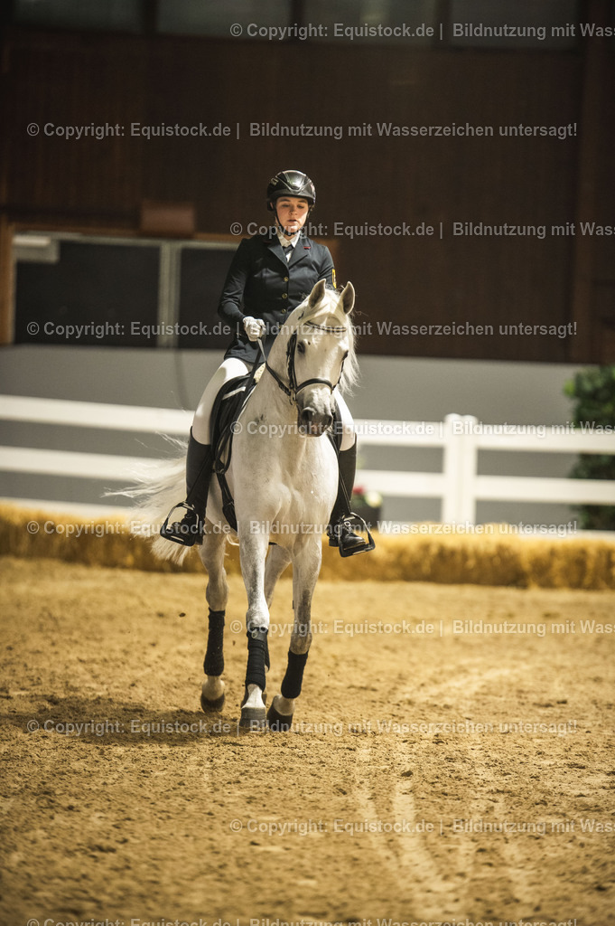 20240302_Hengstvorstellung_Marbach_TOMsPiC_1004-2 | equistock