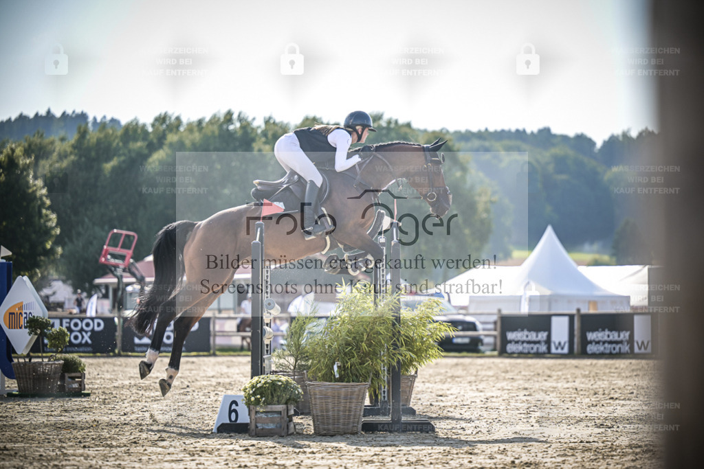 DOS_0308 | Entdecke hochwertige Reitturnierfotos von Foto Oger. Professionell, emotional und authentisch – jetzt Lieblingsmomente im Shop bestellen. - Realisiert mit Pictrs.com