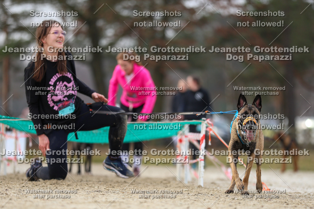 Dog Paparazzi - Strongdog North Mrz26-4443 | Dog Paparazzi Jeanette Grottendiek Fotografie & Videografie - Realisiert mit Pictrs.com