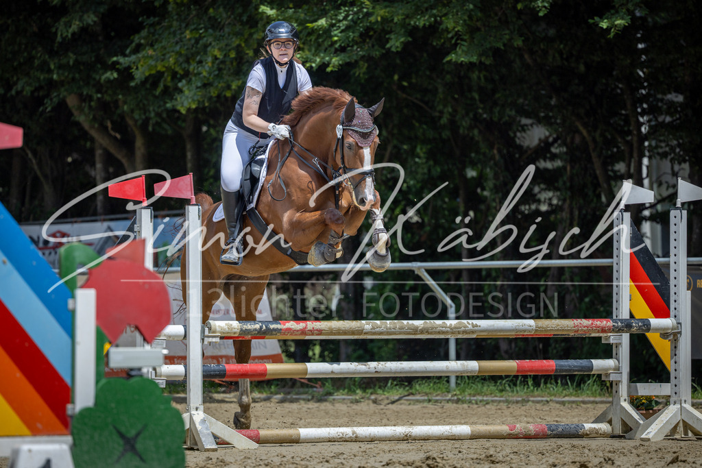 20260704-_3LI8763 | Tierfotografie Pferde, Hunde, Katzen, Haustiere.
Turnierfotografie Reitturniere, Reiten, Springreiten, Dressur in Hanau, dem Main-Kinzig-Kreis und dem Rhein-Main- Gebiet um Frankfurt