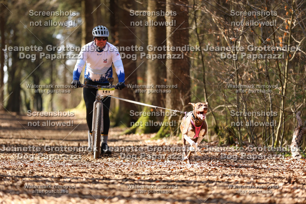 Dog Paparazzi - VCC26-1247 | Dog Paparazzi Jeanette Grottendiek Fotografie & Videografie - Realisiert mit Pictrs.com