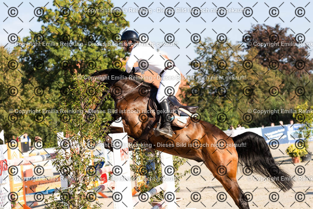 CL5A0359 | Emilia Reinking Fotografie - Realisiert mit Pictrs.com