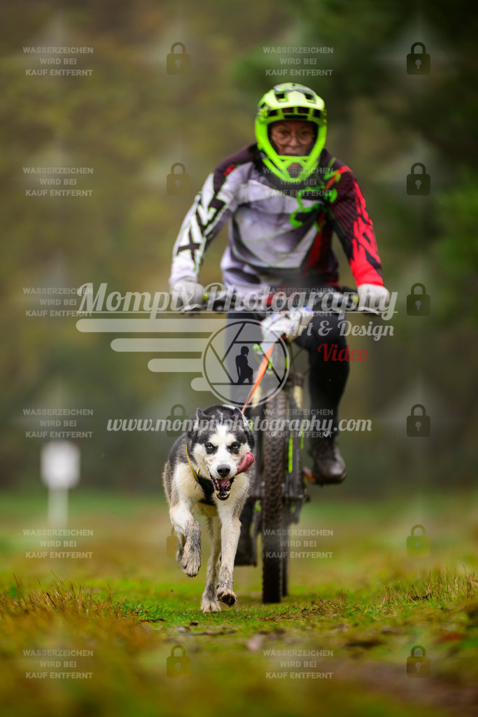 MompixPhotography_Bischwiller2025_Bike-74 | mompixphotography