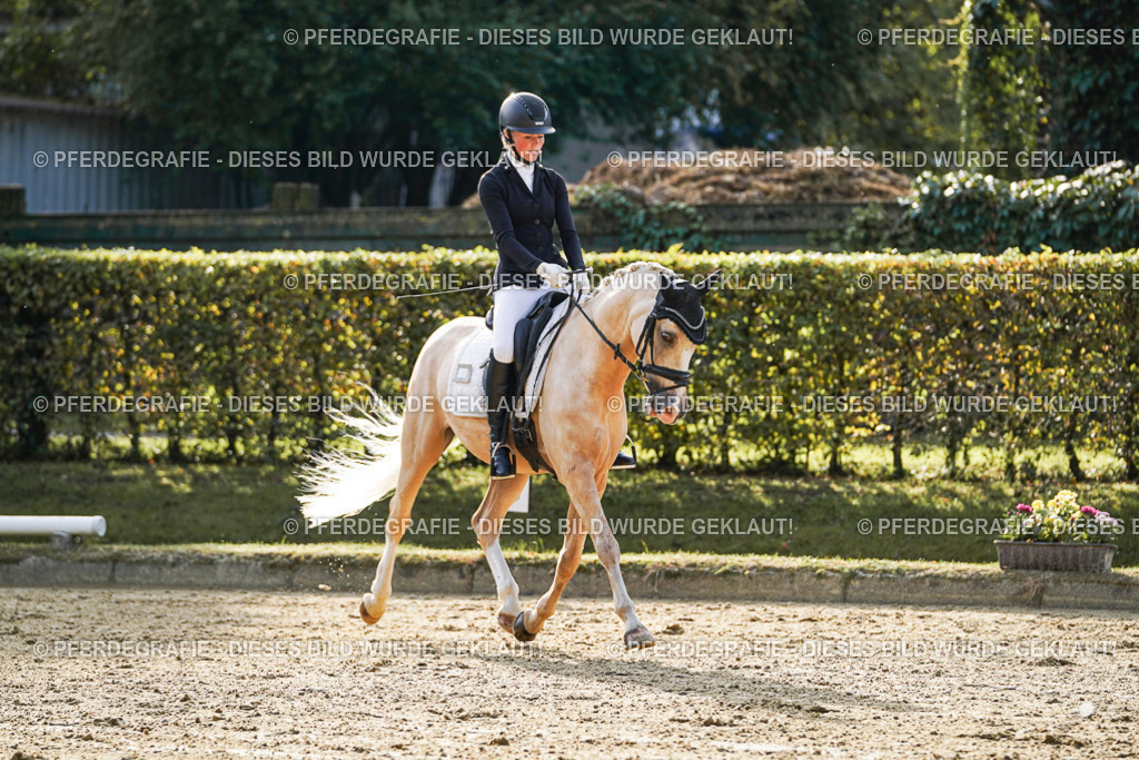 DSC04890 | Pferdegrafie