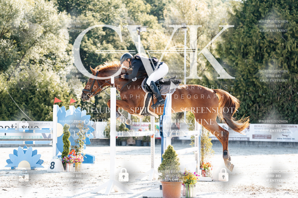 CK901784 | Turnierfotografie Pferdefotografie Trier Rheinland-Pfalz Pferdesport Reitsport Tierfotografie Sportfotografie Pferdevideo Pferdevideografie Equestrianvideography equestrianphotography  - Realisiert mit Pictrs.com