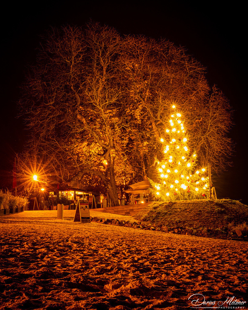 Der Weihnachtsbaum in Mainz-Kastel | Der Weihnachtsbaum in Mainz-Kastel
