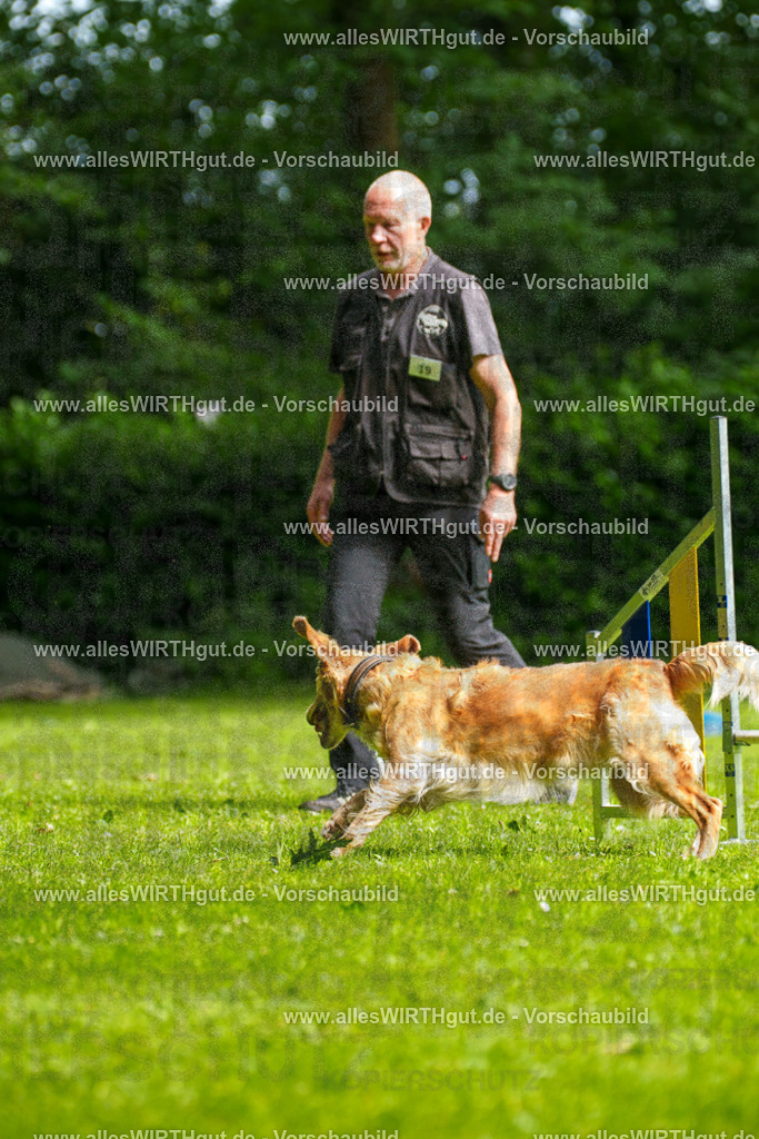 @allesWIRTHgut_Tierfotografie - www.allesWIRTHgut.de - 093135-7R507256 | Professionelle Tierfotografie in Mönchengladbach von Daniel Wirth (allesWIRTHgut). Liebevolle & natürliche Bilder von Hunden & Katzen für unvergessliche Erinnerungen.