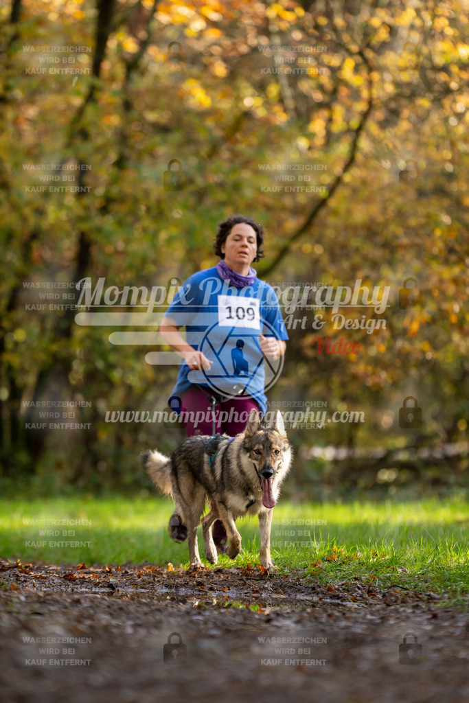 MompixPhotography_Bischwiller23_Canicross-81 | PayLife